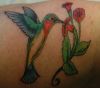 hummingbird pics tattoos